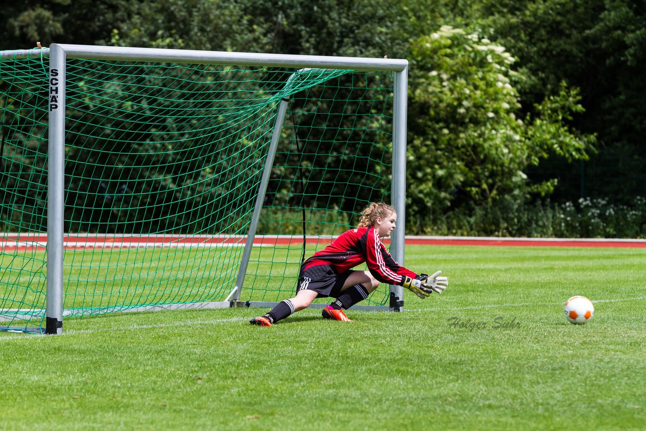 Bild 201 - C-Juniorinnen Landesmeister Finale SV Wahlstedt - TuRa Meldorf : Ergebnis: 1:4